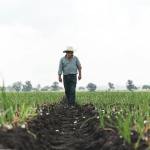 What Makes a Strong EVP?